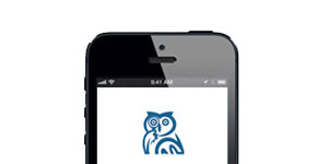 Inspecteur en batiment 1